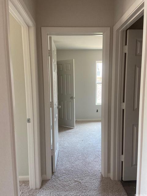 1045 Okeefe Ave, Conway, AR 72032 photo 14