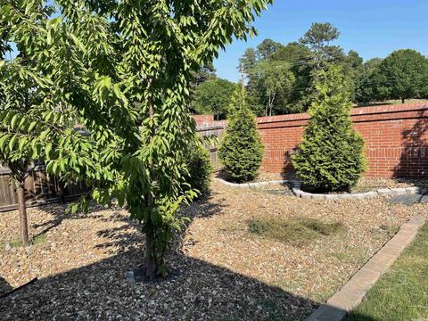 2810 Plateau Dr, Conway, AR 72032 photo 13