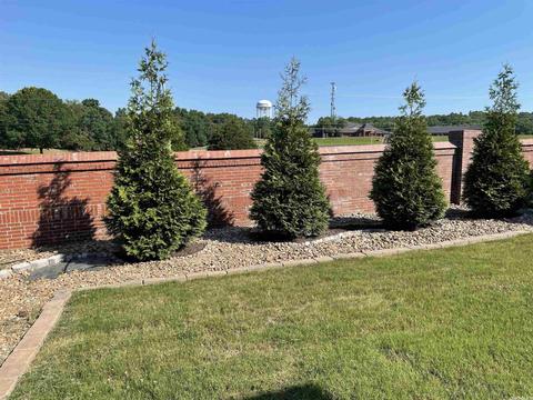 2810 Plateau Dr, Conway, AR 72032 photo 14