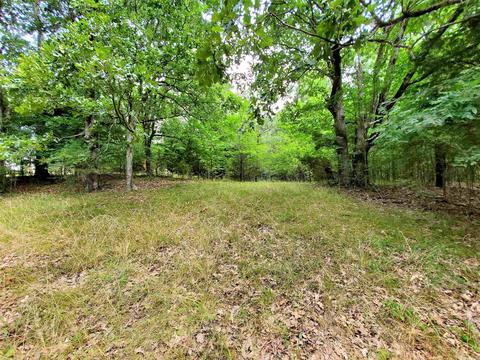 1018 Cr 475, Rector, AR 72461 photo 17