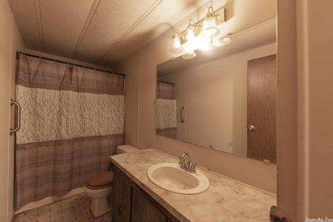 9101 Amber Ln, Alexander, AR 72002 photo 32