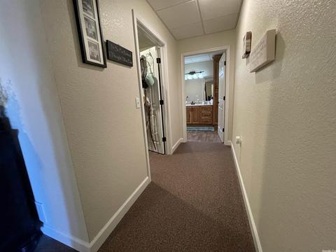 2938 Browns Chapel Rd, Viola, AR 72583 photo 49