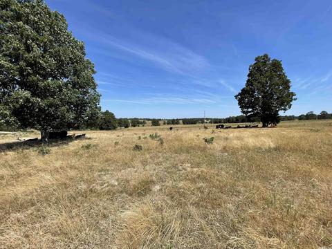 2938 Browns Chapel Rd, Viola, AR 72583 photo 46