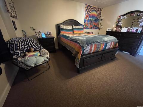 2938 Browns Chapel Rd, Viola, AR 72583 photo 33