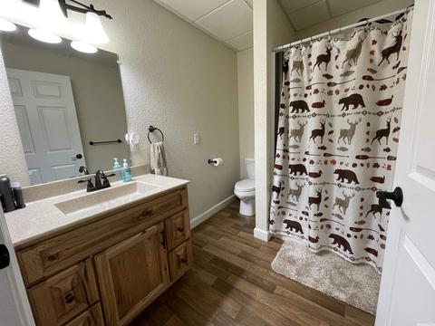 2938 Browns Chapel Rd, Viola, AR 72583 photo 31