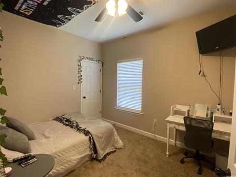 3030 Cloudberry Dr, Conway, AR 72032 photo 19