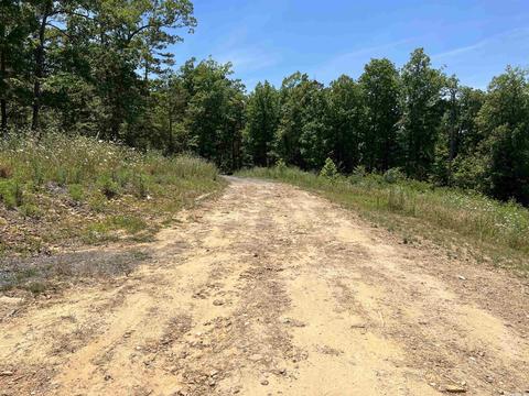 262 Quicksilver Rd, Leslie, AR 72645 photo 13