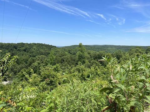 262 Quicksilver Rd, Leslie, AR 72645 photo 1