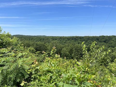 262 Quicksilver Rd, Leslie, AR 72645 photo 2