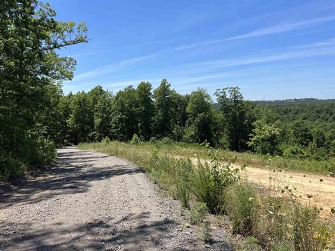 262 Quicksilver Rd, Leslie, AR 72645 photo 17