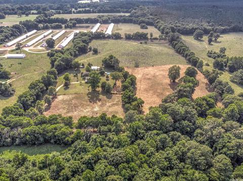 211 Wall Rd, Horatio, AR 71842 photo 12
