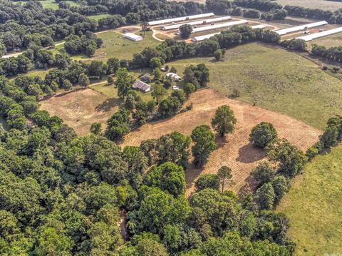 211 Wall Rd, Horatio, AR 71842 photo 13