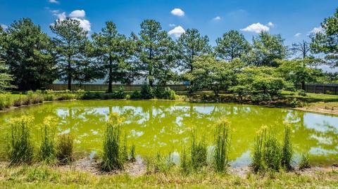 4003 Boone Rd, Benton, AR 72015 photo 42