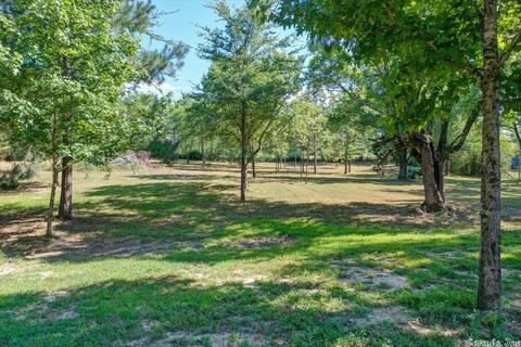 256 Willow, Bismarck, AR 71929 photo 48