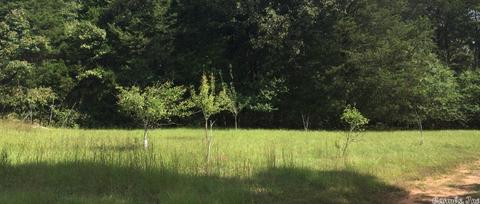 34 Tomahawk Dr, Damascus, AR 72039 photo 3