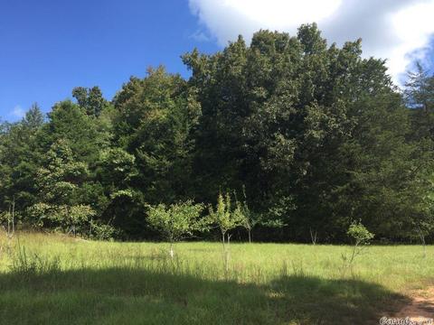 34 Tomahawk Dr, Damascus, AR 72039 photo 4