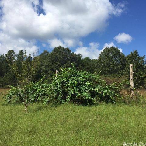 34 Tomahawk Dr, Damascus, AR 72039 photo 2