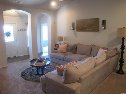 6348 Lena Dr, Alexander, AR 72002 photo 8