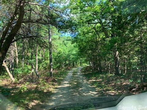 2307 Sutterfield Rd, Fox, AR 72051 photo 39