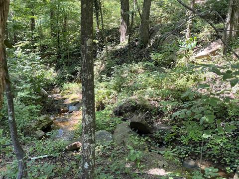 3646 Red River Rd, Fox, AR 72051 photo 7