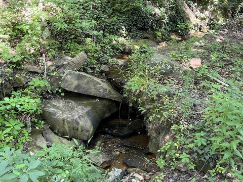 3646 Red River Rd, Fox, AR 72051 photo 3
