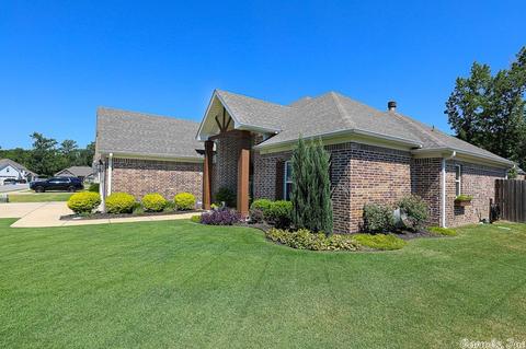 456 Windrush Pt, Alexander, AR 72002 photo 3