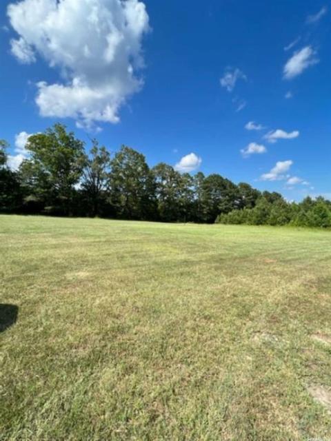 2165 Grant 25, Grapevine, AR 72057 photo 11