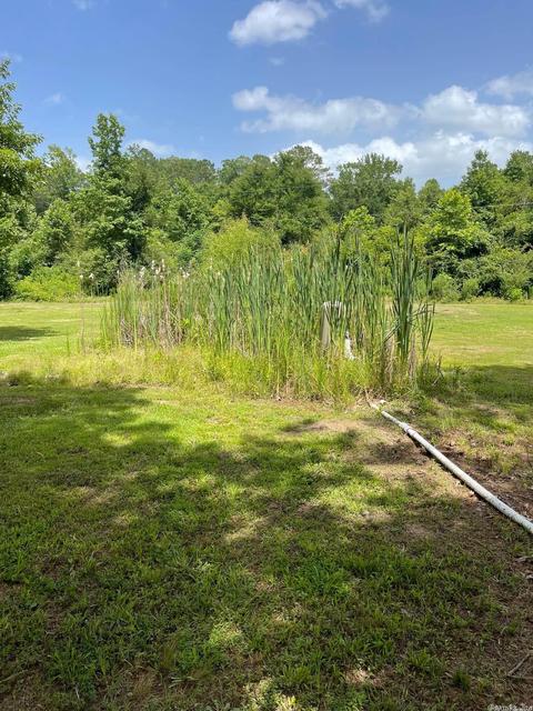 21 Burnett Rd, Delight, AR 71940 photo 43