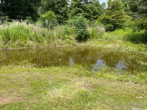 21 Burnett Rd, Delight, AR 71940 photo 33