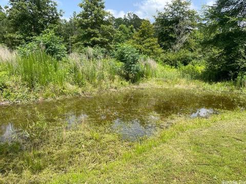 21 Burnett Rd, Delight, AR 71940 photo 34