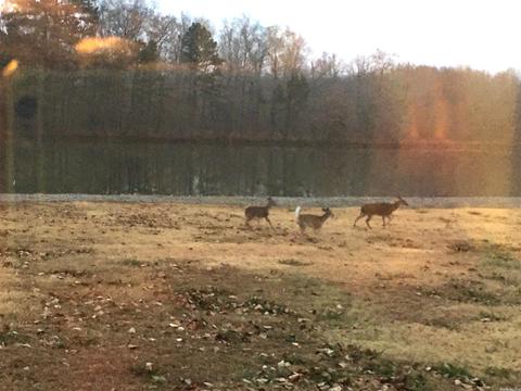 721 Davidson Rd, Beebe, AR 72012 photo 34