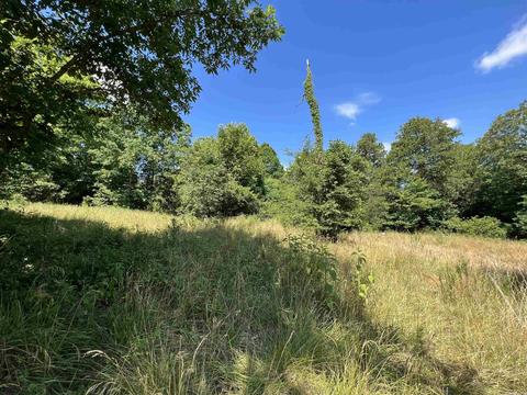 7077 Mount Calm Rd, Gepp, AR 72538 photo 15