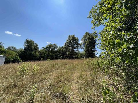 7077 Mount Calm Rd, Gepp, AR 72538 photo 12