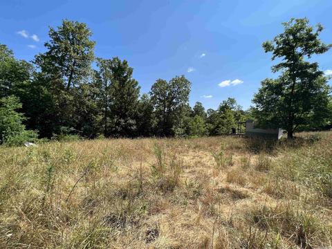 7077 Mount Calm Rd, Gepp, AR 72538 photo 10