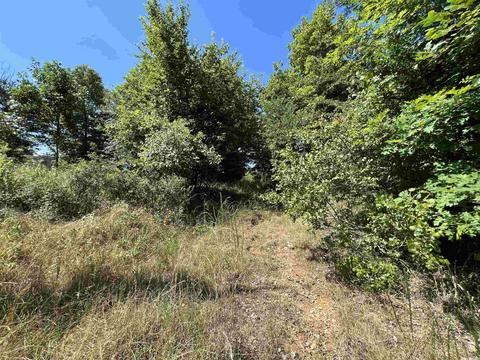 7077 Mount Calm Rd, Gepp, AR 72538 photo 11