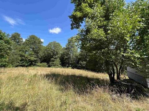 7077 Mount Calm Rd, Gepp, AR 72538 photo 13