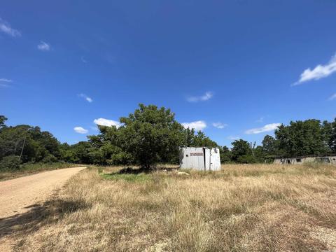 7077 Mount Calm Rd, Gepp, AR 72538 photo 5