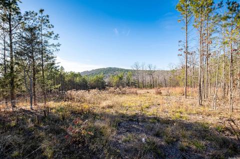 2011 Berry Mountain Cv, Paron, AR 72015 photo 5