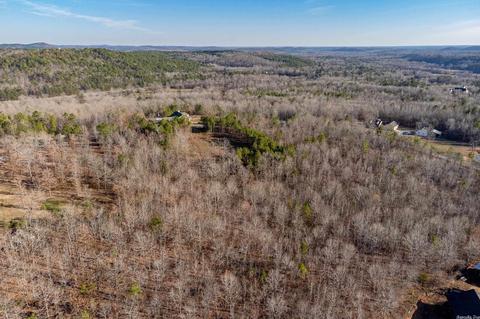 2011 Berry Mountain Cv, Paron, AR 72015 photo 13