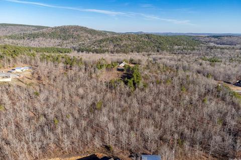 2011 Berry Mountain Cv, Paron, AR 72015 photo 15