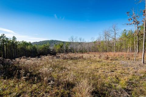 2011 Berry Mountain Cv, Paron, AR 72015 photo 6