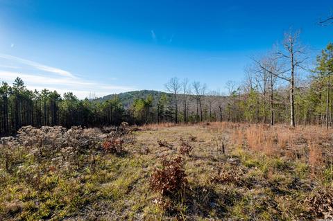 2011 Berry Mountain Cv, Paron, AR 72015 photo 4