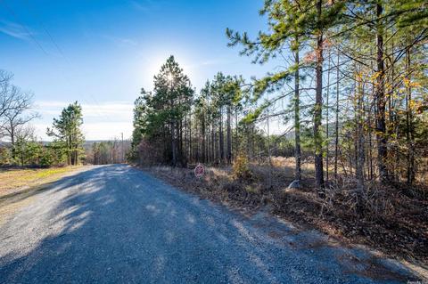 2011 Berry Mountain Cv, Paron, AR 72015 photo 2