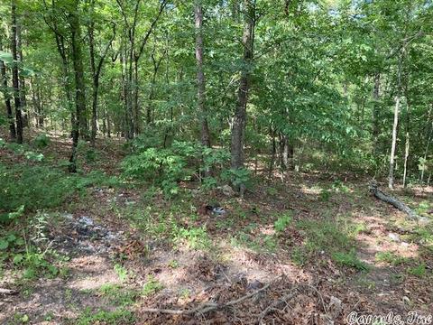 51 Red Lamb Rd, Melbourne, AR 72556 photo 2