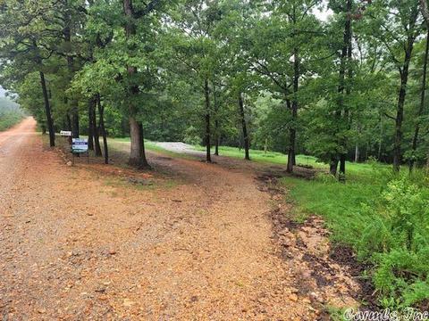 51 Red Lamb Rd, Melbourne, AR 72556 photo 1