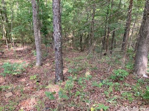 51 Red Lamb Rd, Melbourne, AR 72556 photo 5