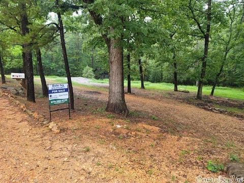 51 Red Lamb Rd, Melbourne, AR 72556 photo 6