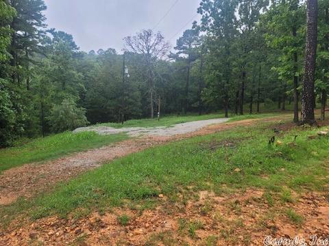 51 Red Lamb Rd, Melbourne, AR 72556 photo 3