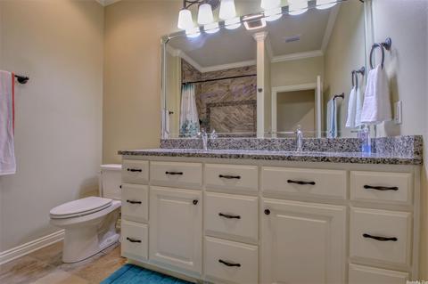 10 Cossatot Cir, Cabot, AR 72023 photo 42