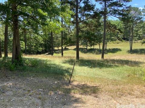 429 Polk Road 257, Wickes, AR 71973 photo 16